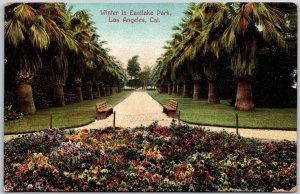 Winter In Eastlake Park Los Angeles California Palm Trees Flower Garden Postcard