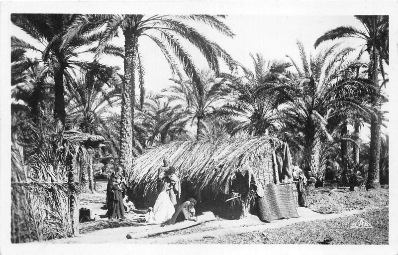 Lot121 houses in the palm grove gabes real photo Tunisia africa