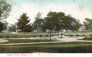 Vintage Postcard Chapin Public Park Trees Bench Chairs Fountain Bangor Maine ME