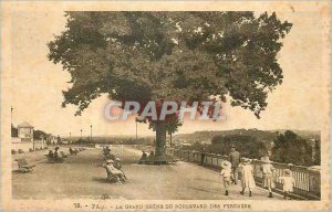 Old Postcard Pau Le Grand Chene Boulevard des Pyrenees