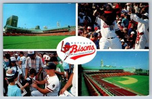 Pilot Baseball Field, Buffalo, NY, Home Of The Buffalo Bisons Multiview Postcard