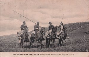 Touradas Brave Cattle Riders Campinos Gado Bravo Old Portugal Postcard
