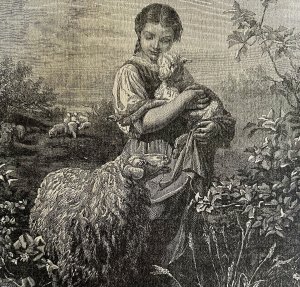 Lucy Pet Sheep 1892 Victorian Art Woodcut Printing Ephemera DWY10B