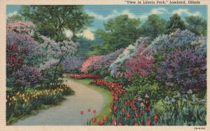 Vintage Postcard 1920's View in Lilacia Park Lombard Illinois ILL Flowers Blooms