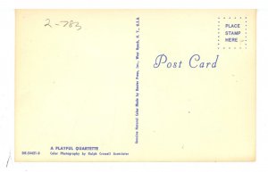 Cats - Playful Quartet