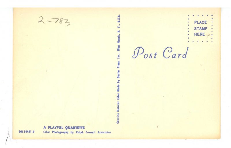 Cats - Playful Quartet