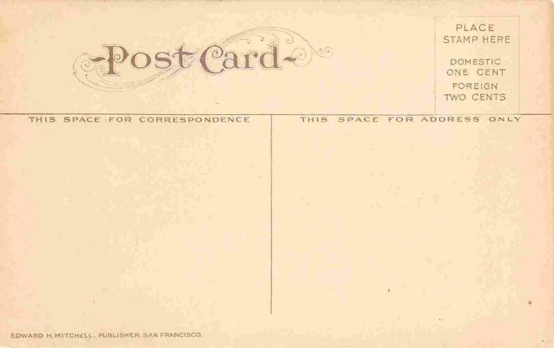 Power Dam Provo Canyon Utah 1910c postcard