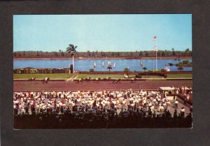 FL Gulfstream Park Horse Race Track Racing Hallandale Florida Postcard Horses