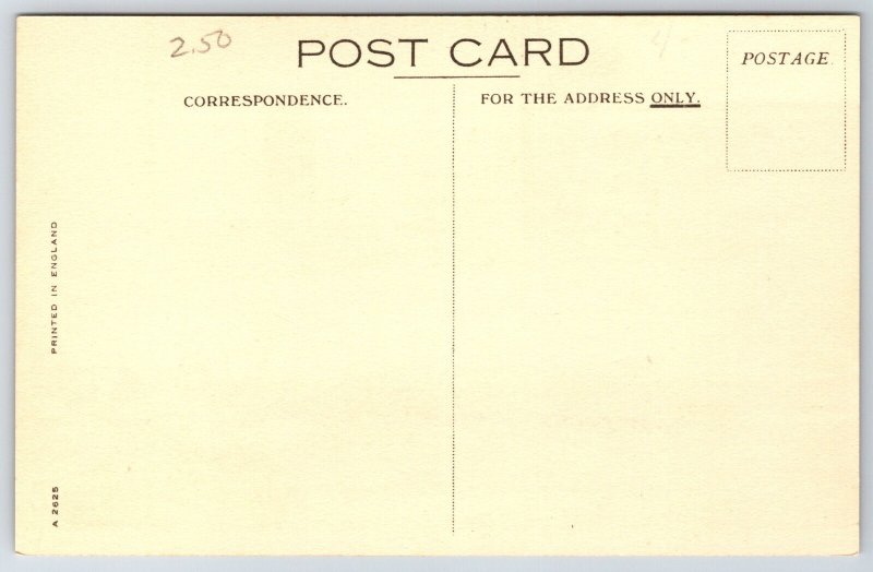 Transportation~Cunard White Star Carinthia & Rowboats~Vintage Postcard