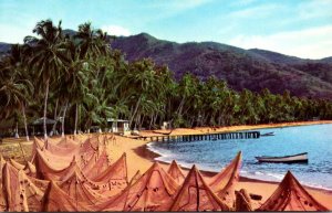 Venezuela Playas pintorescas Beach Scene