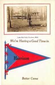 Having Good Time in Harrison Michigan~Lake Side Park Band Stand~RPPC Pennant  