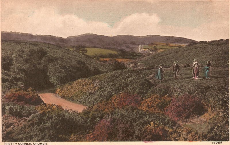 Vintage Postcard Pretty Corner Cromer Mountain Trails Path Rounce and Wortley