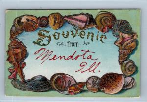 MENDOTA, IL Illinois   SOUVENIR From Mendota SHELL BORDER     c1910s    Postcard 