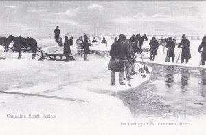 Canada Canadian Sport Series Ice Cutting On St Lawrence River Circa 1890-1910