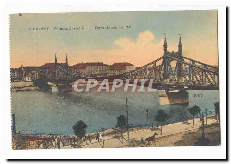 Hongrie Hungary budapest CPA Franz Josefs Brucke