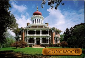 Continental Postcard Longwood Natchez, Mississippi CE14