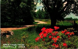 Scenic Country Road Greetings  Janesville Oasis Wisconsin WI Chrome Postcard B5