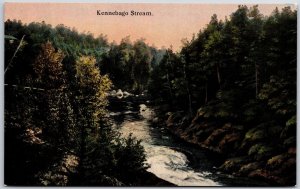 Kennebago Stream Maine ME Forest Trees Scenic Nature View Postcard