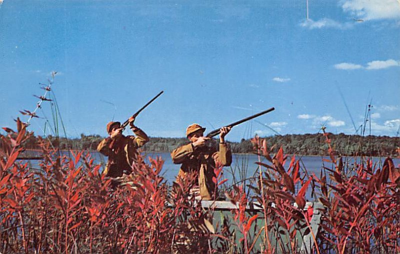 Greetings From East Otis, Massachusetts USA Unused 