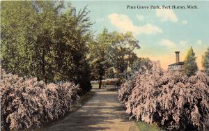 Michigan MI Postcard PORT HURON c1910 PINE GROVE PARK