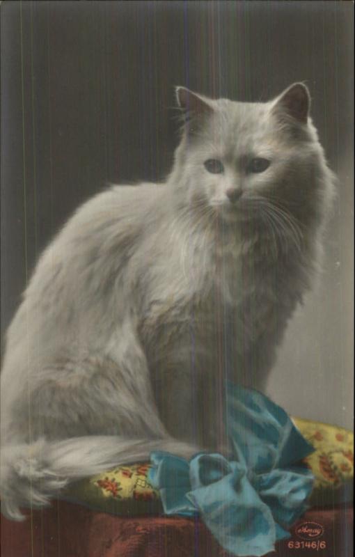 Fluffy White Long-Haired Cat & Ribbon c1910 Tinted Real Photo Postcard 63146/6