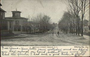 Marion NY Buffalo St. c1905 Postcard