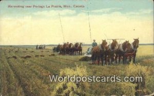 Harvesting, Partage La Prairie Manitoba Canada Unused 
