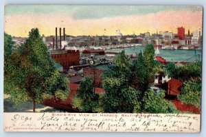 Baltimore Maryland MD Postcard Bird's Eye View Of Harbor Trees 1906 Antique