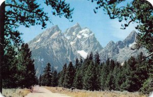 GRAND TETON NATIONAL PARK From Park Highway Wyoming c1950s Vintage Postcard