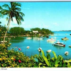 c1970s Mangrove Bay Bermuda Tropical Paradise Boats Palm Trees Chrome 4x6 PC M18