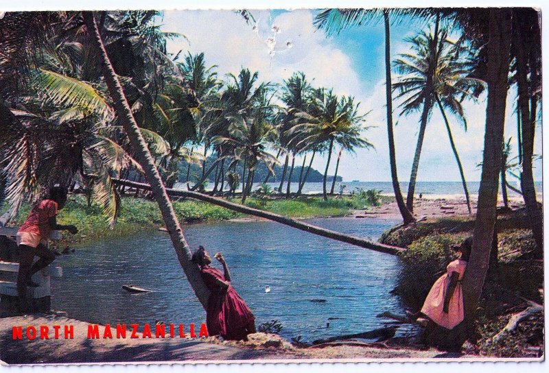 VINTAGE POSTCARD RIVER DELTA NORTH MANZANILLA TRINIDAD WEST INDIES SOUND CARD