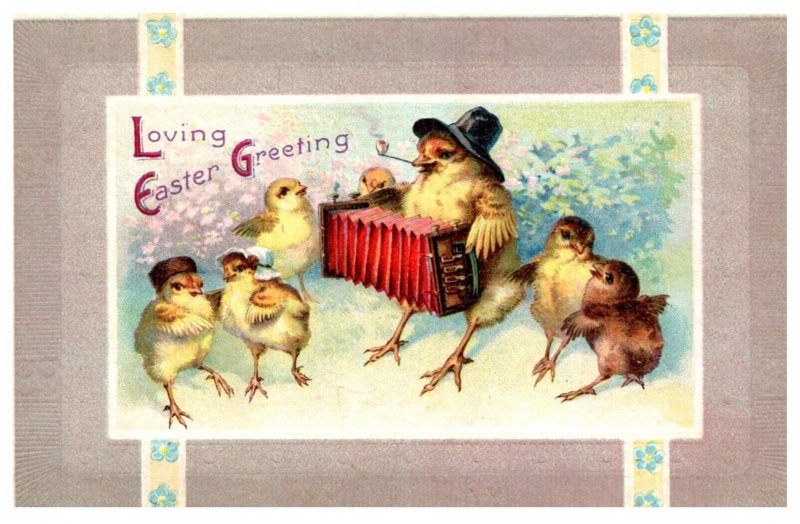 Easter  Chickens playing Accordian