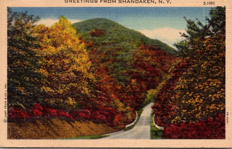 New York Greetings From Shandaken 1959