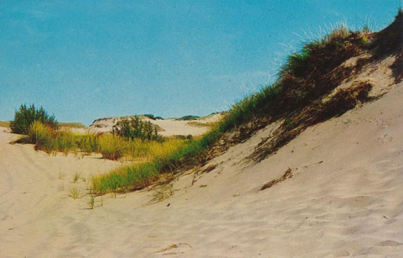 Sand Dunes on Outer Cape Cod - Massachusetts