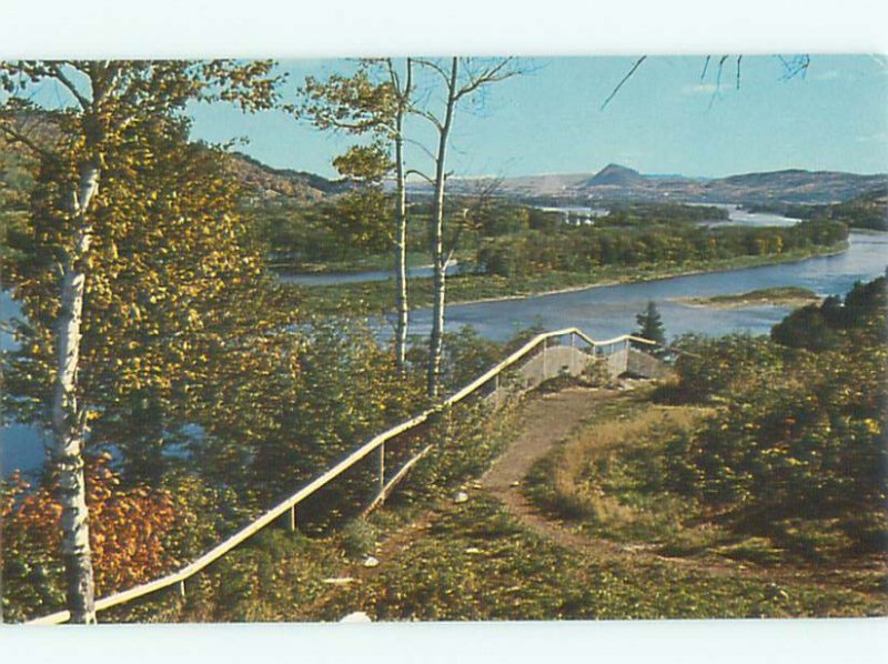 Pre-1980 RIVER SCENE Campbellton New Brunswick NB AE6054