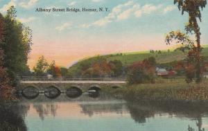 Albany Street Bridge on Tioughnioga River - Homer NY, New York - DB