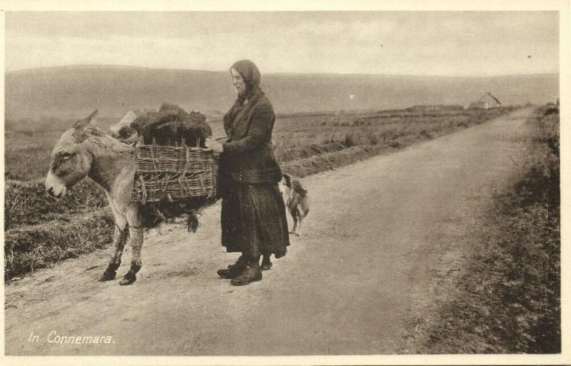 ireland, CONNEMARA, Old Woman with Donkey, Peat Carrier (1940s)