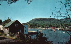 Windjammers & Other Boats at Anchor in Harbor along the Maine, Vintage Postcard