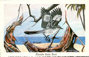 Florida State Bird The Mocking Bird