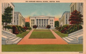 Vintage Postcard Harvard Medical School Marble Buildings Boston Massachusetts MA