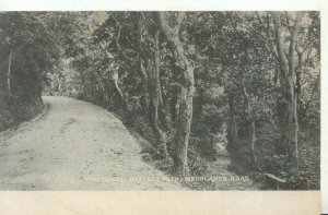 Somerset Postcard - Portishead - Battery Path - Woodlands Road - Ref TZ3278