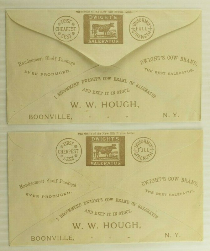 1880's W. W. Hough Groceries & Crockery Boonville, NY Dwight's Saleratus #M 