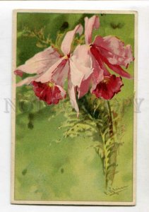 3146973 ORCHID Flowers by C. KLEIN Vintage colorful PC