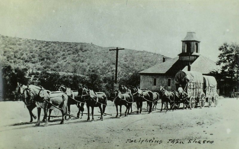 RPPC Freighting Team, Shasta, Ca. Vintage Postcard F71