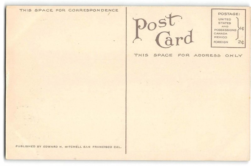 Birdseye View PACIFIC GROVE, CA Monterey County 1910s Mitchell Vintage Postcard