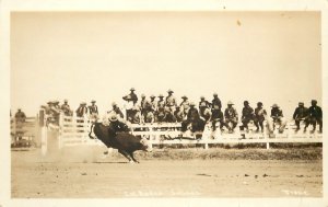 RPPC Postcard California Rodeo Salinas Trout Photo Cowboy On Bucking Bronco