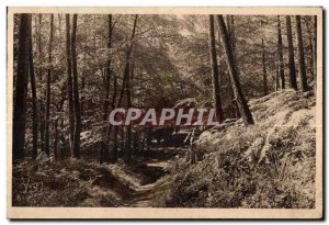 Old Postcard Brittany Huelgoat (Finistere) Roll in the Forest