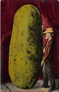 Exaggerated Watermelon & Man California 1910c Exaggeration postcard
