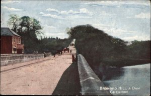 BROMBRO HILL & DAM CHESHIRE Panoramic View Antique Postcard
