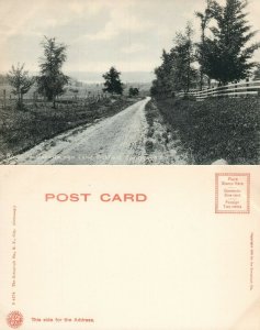 RICHFIELD SPRINGS N.Y. ROAD TO CANADARAGO LAKE UNDIVIDED ANTIQUE POSTCARD